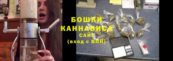 ALPHA PVP Бородино